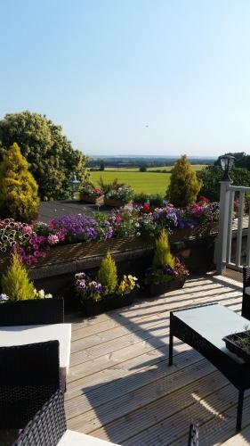 Bed & Breakfast Fieldview (Adults Only)