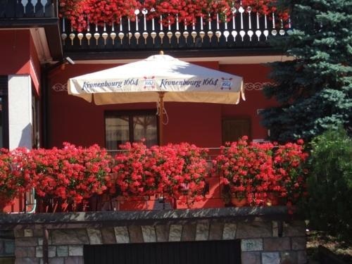 Albergo Trieste