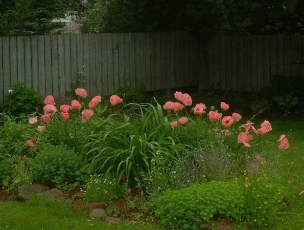 Elizabeth's Bed and Breakfast