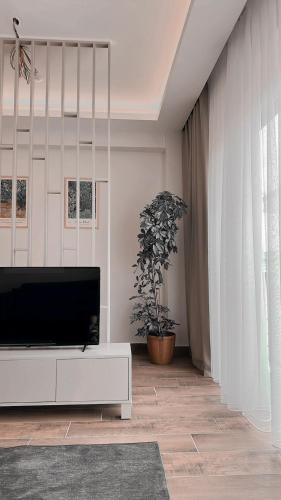 Vista Living Apartments