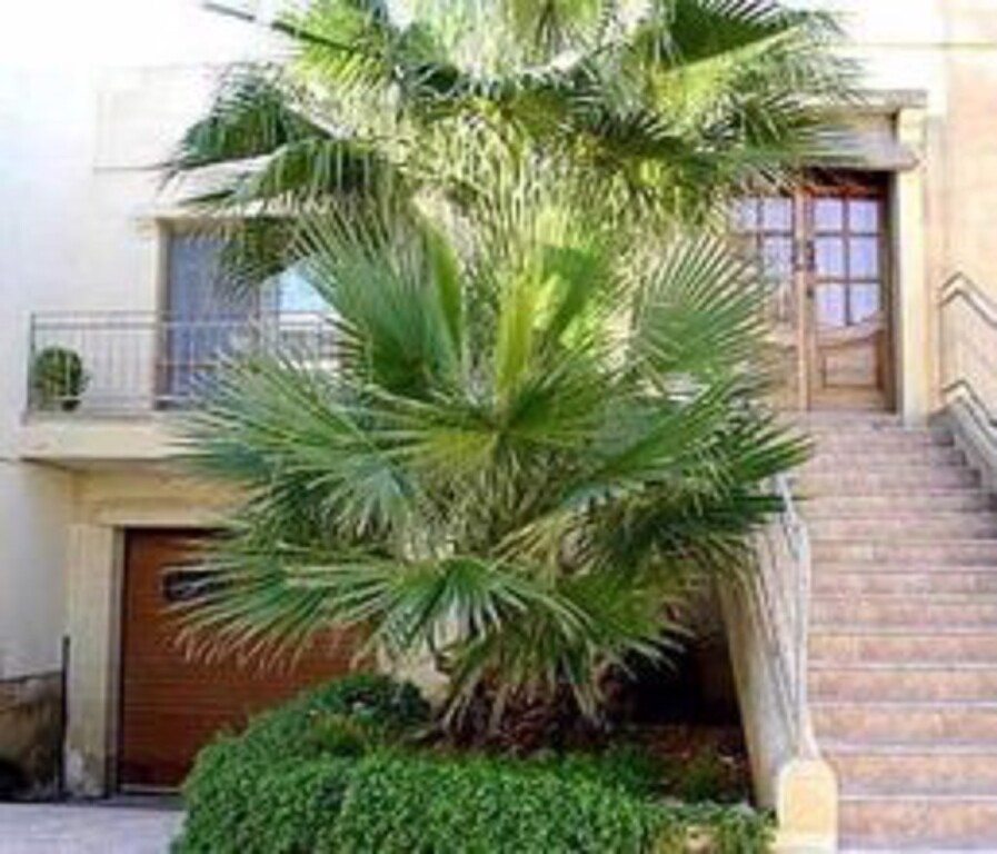 Villa Dar Ta'jeffrey