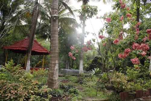 Sai Farms