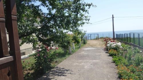 Pensiunea Sapte Pini