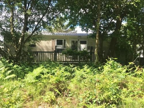 2-Bed Caravan - Oakdene Forest Park
