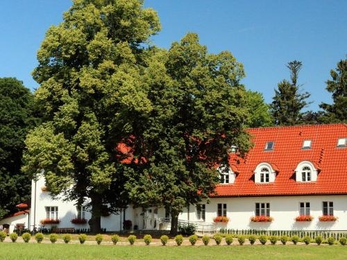 Stary Mlyn Strzeszyn