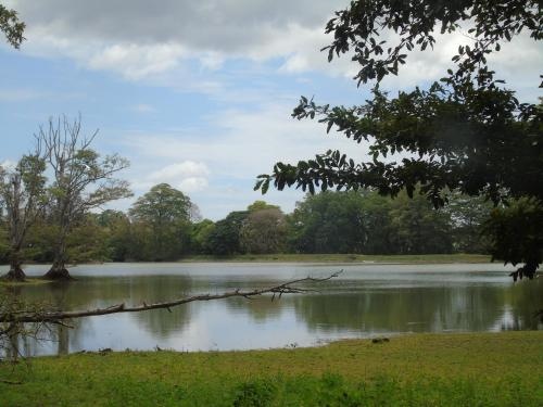 Udawalawa Safari Villa