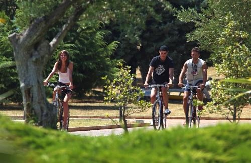 Aminess Sirena Holiday Homes