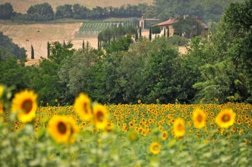 Agriturismo Val Di Sterza