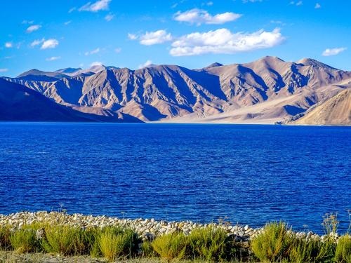 Mountain Homestays - Pangong view