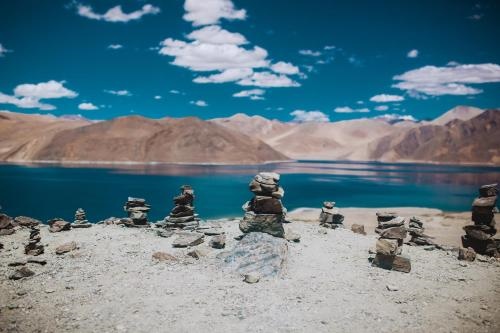Mountain Homestays - Most scenic Pangong stay