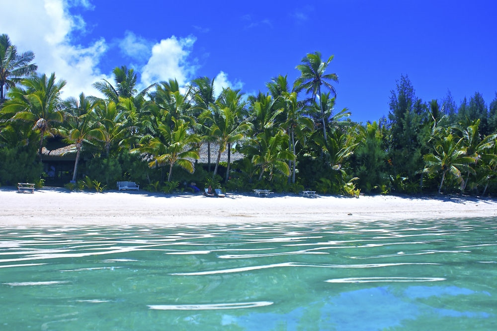 Heliconia Hideaway