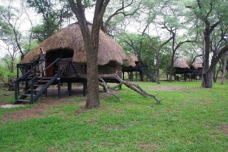 Sikumi Tree Lodge