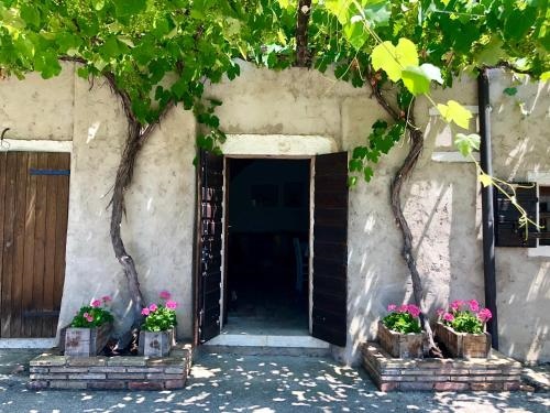 Serene Holiday And Wine Farm