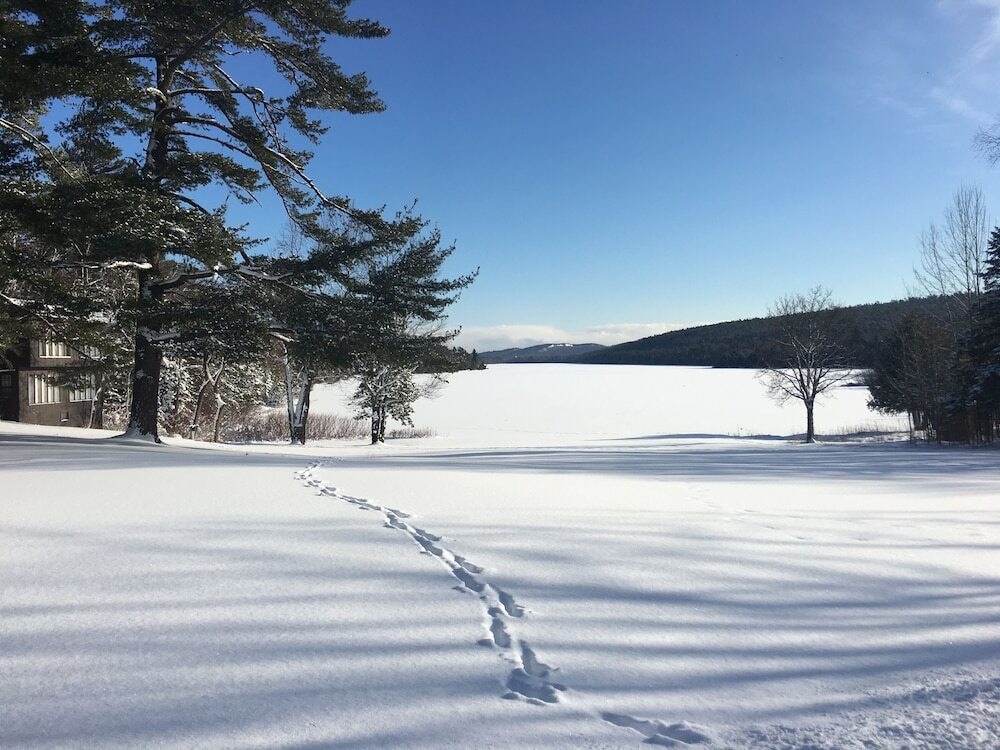 Lake Fanny Hooe Resort #11 - 1 Br Hotel Room