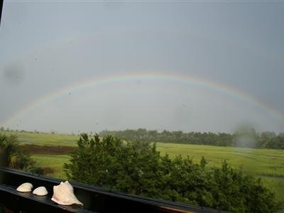 Blue Heron Inn Bed And Breakfast