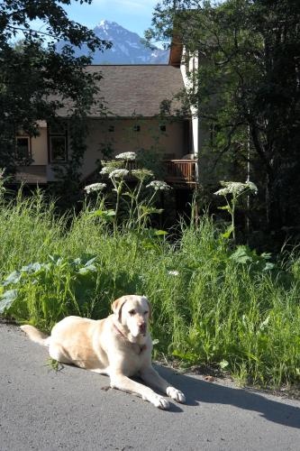 Eagle Peak Guesthouse