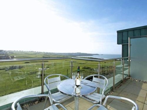 Fistral View 51 Zinc