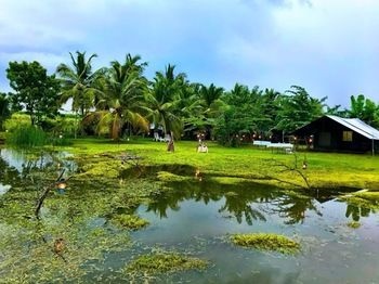 Master Campers Lanka