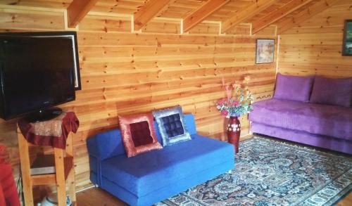 In Our Backyard Metula