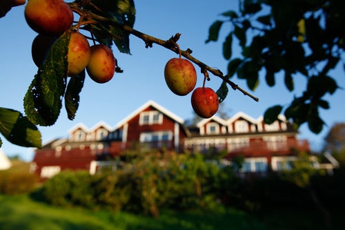 Bj?Rnefjorden Gjestetun