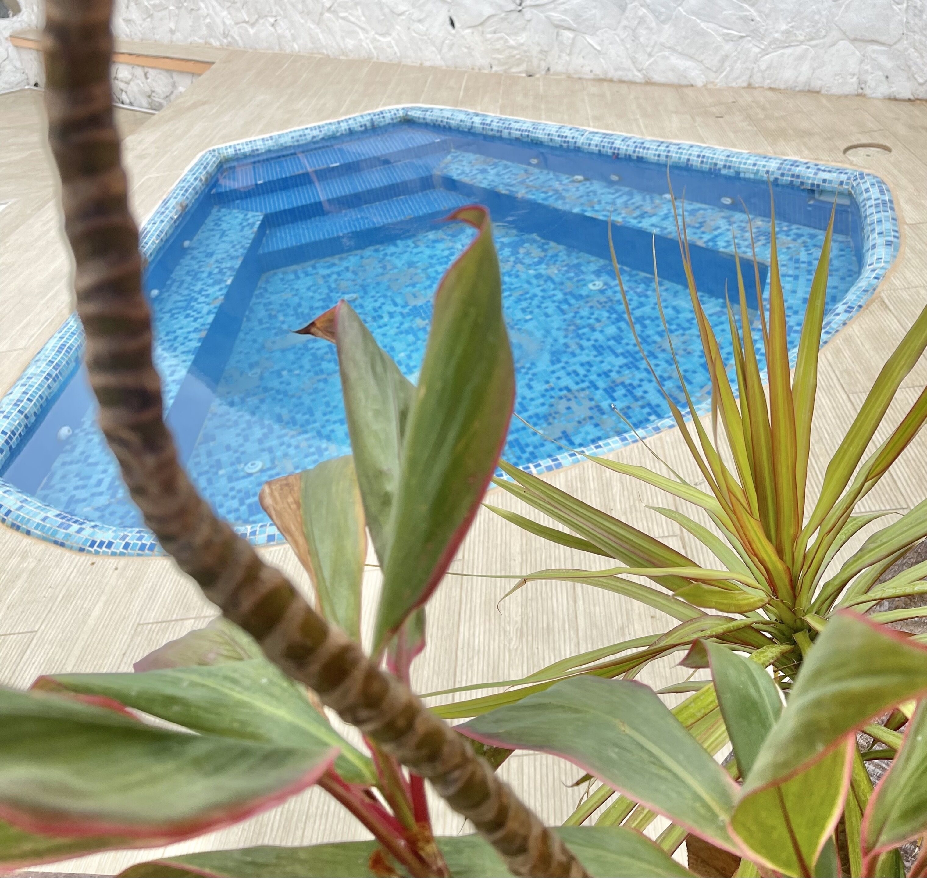 St Ann's Guest House Ltd