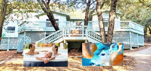 Pine Hills Cabin In Julian