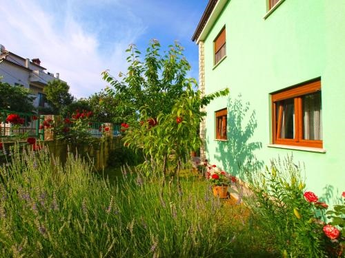 Apartments Green 390