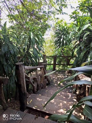 Family House Homestay