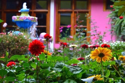 Hotel Museo La Casa De Los Rizo