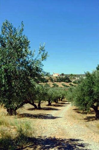 Contaratos Livadi Kythira