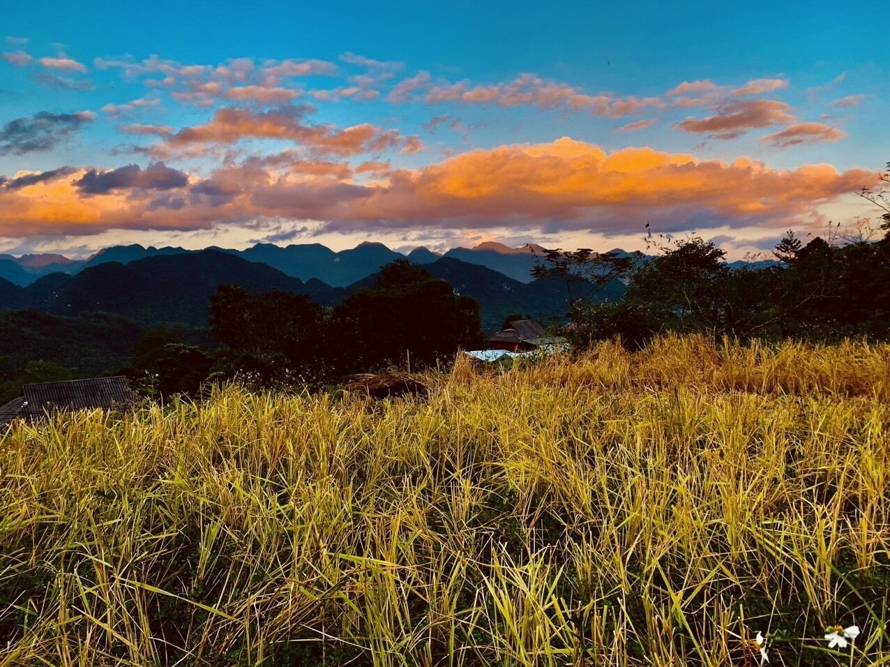 Amigo Pu Luong
