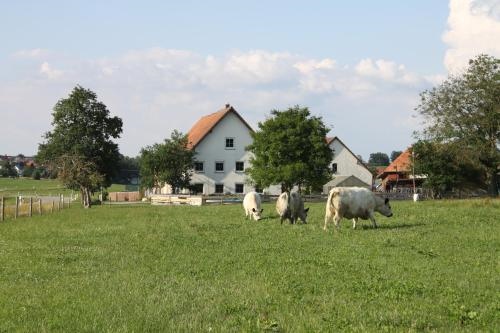 Mayerhof