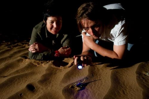 Wilderness Kulala Desert Lodge