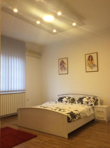 Apartman Br.1