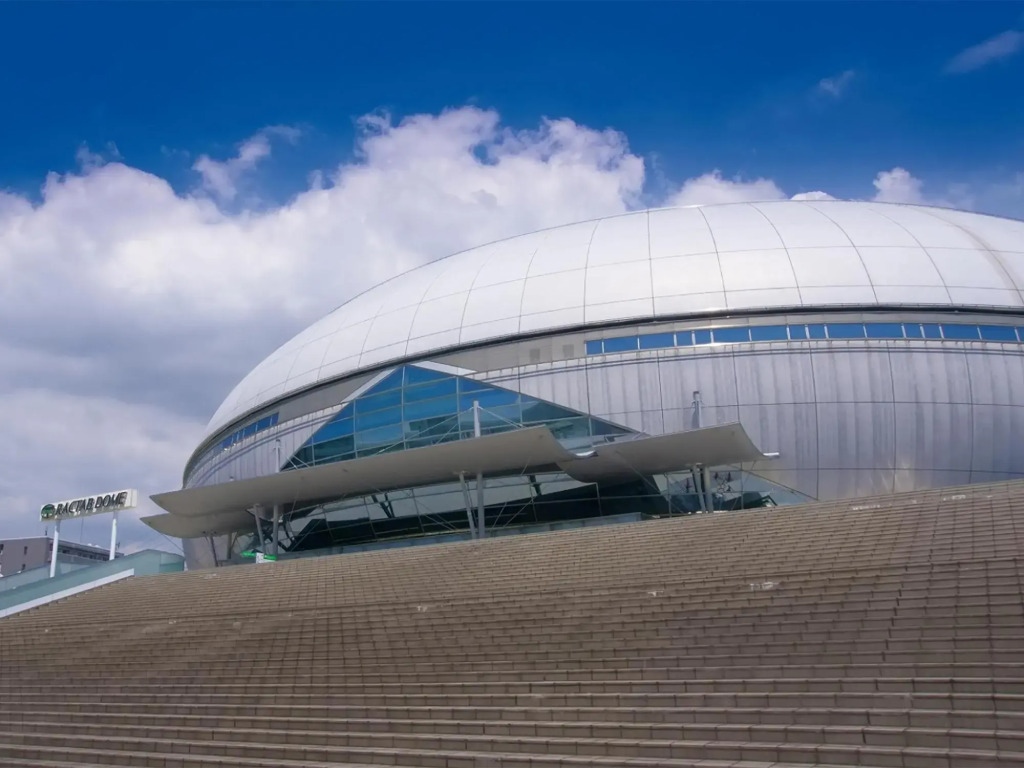 Toyoko Inn Osaka Kadoma-shi Ekimae