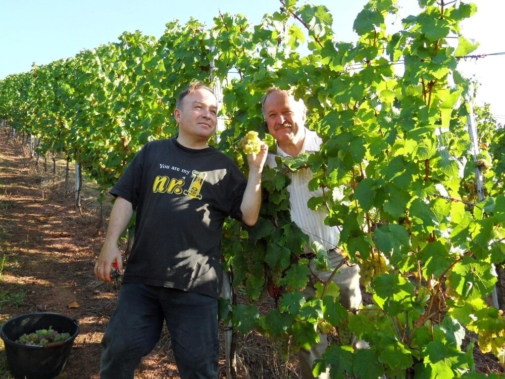 Weingut Fröhliches Weinfass