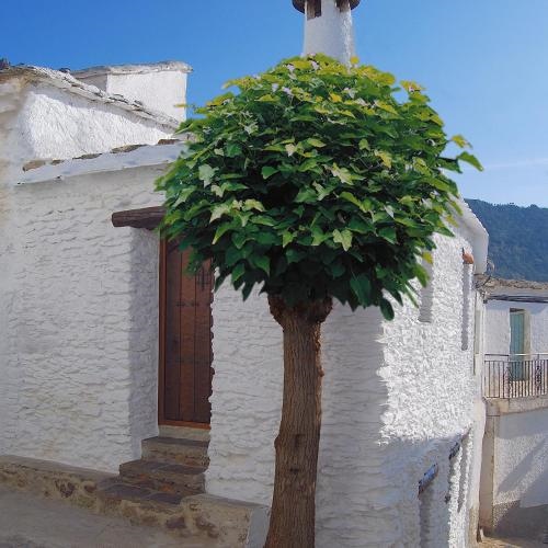 Casa El Rincon del Angel