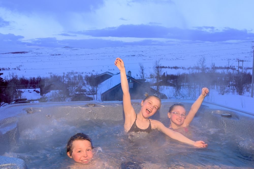 Torsetlia Fjellstue og Hyttegrend