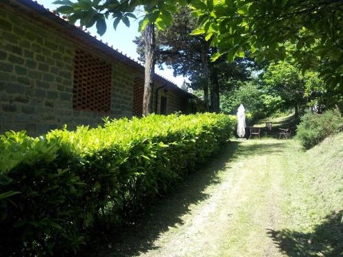 3 Rooms Flat in a Green Tuscany Valley