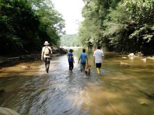 Grand Selva Lodge & Tours