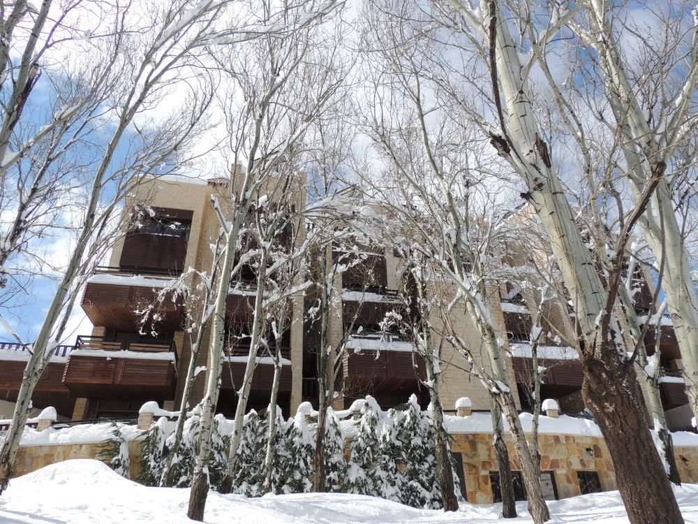 Faraya Village Club