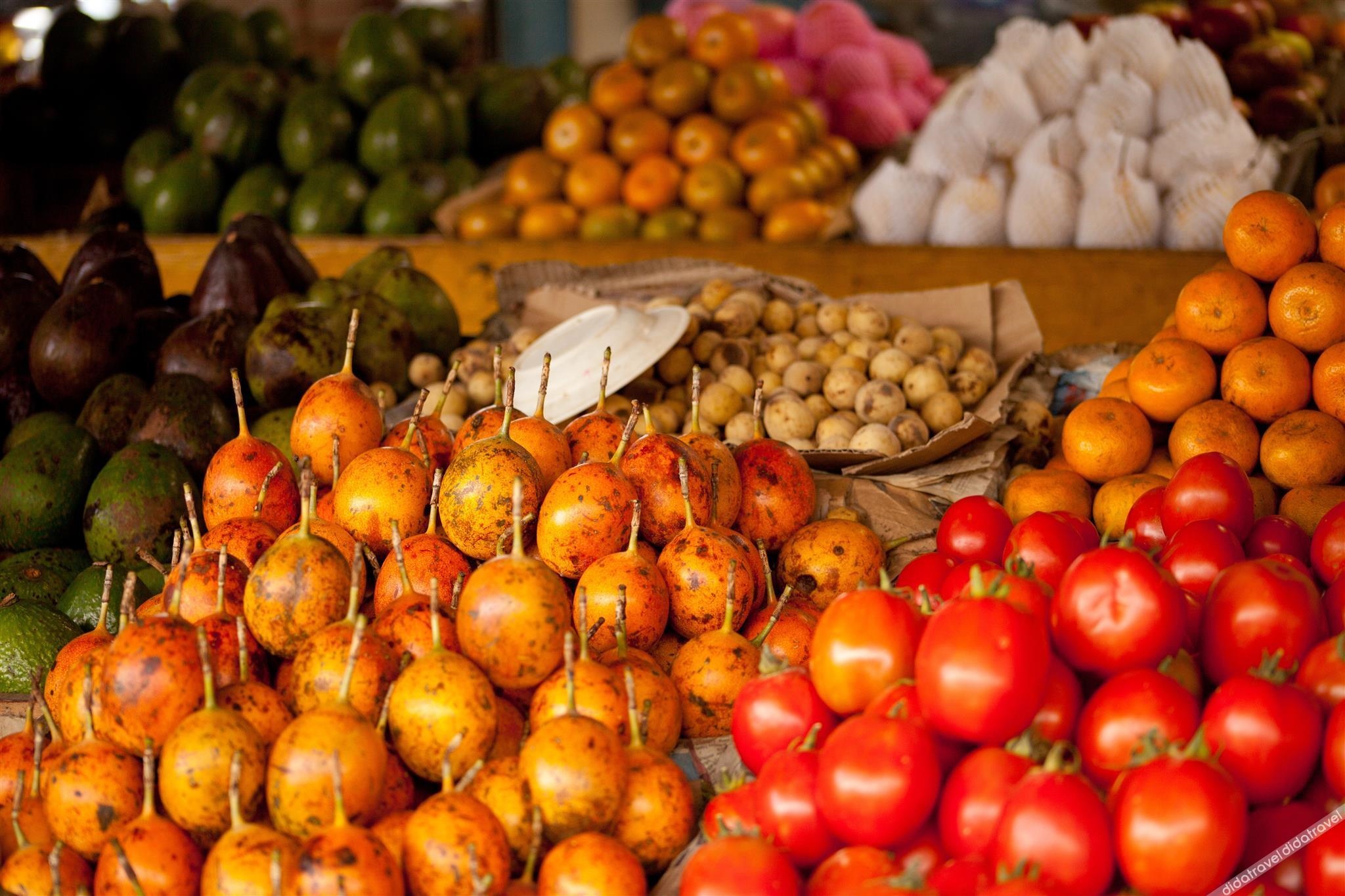 LOA Living Solo Baru