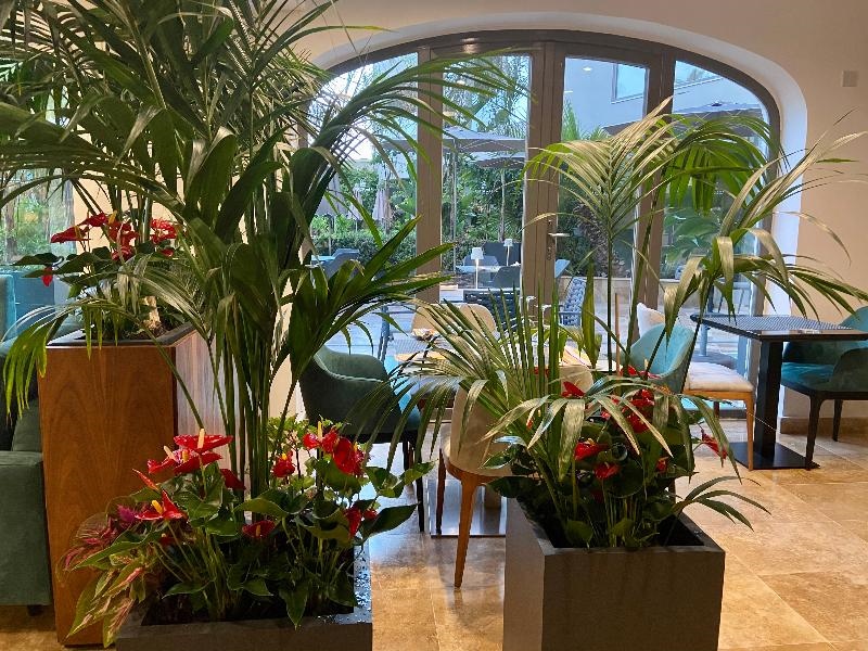 The Village Boutique & Spa