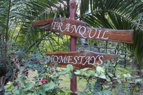 Tranquil homestays