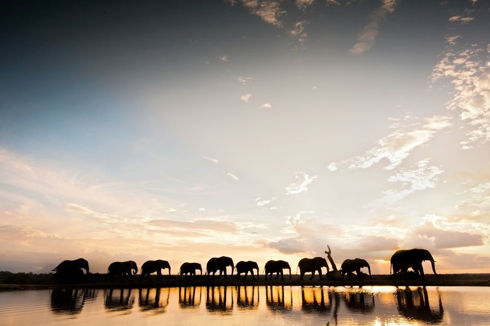 Jabulani Safari