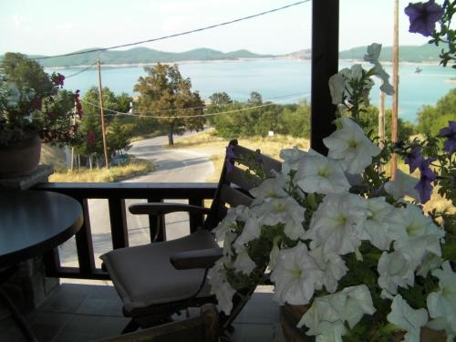 Pandion Luxury Boutique Hotel & Suites With Spa