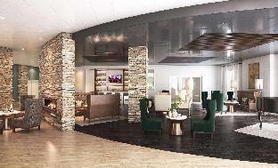 The Mosey Buffalo Williamsville, Tapestry Collection by Hilton