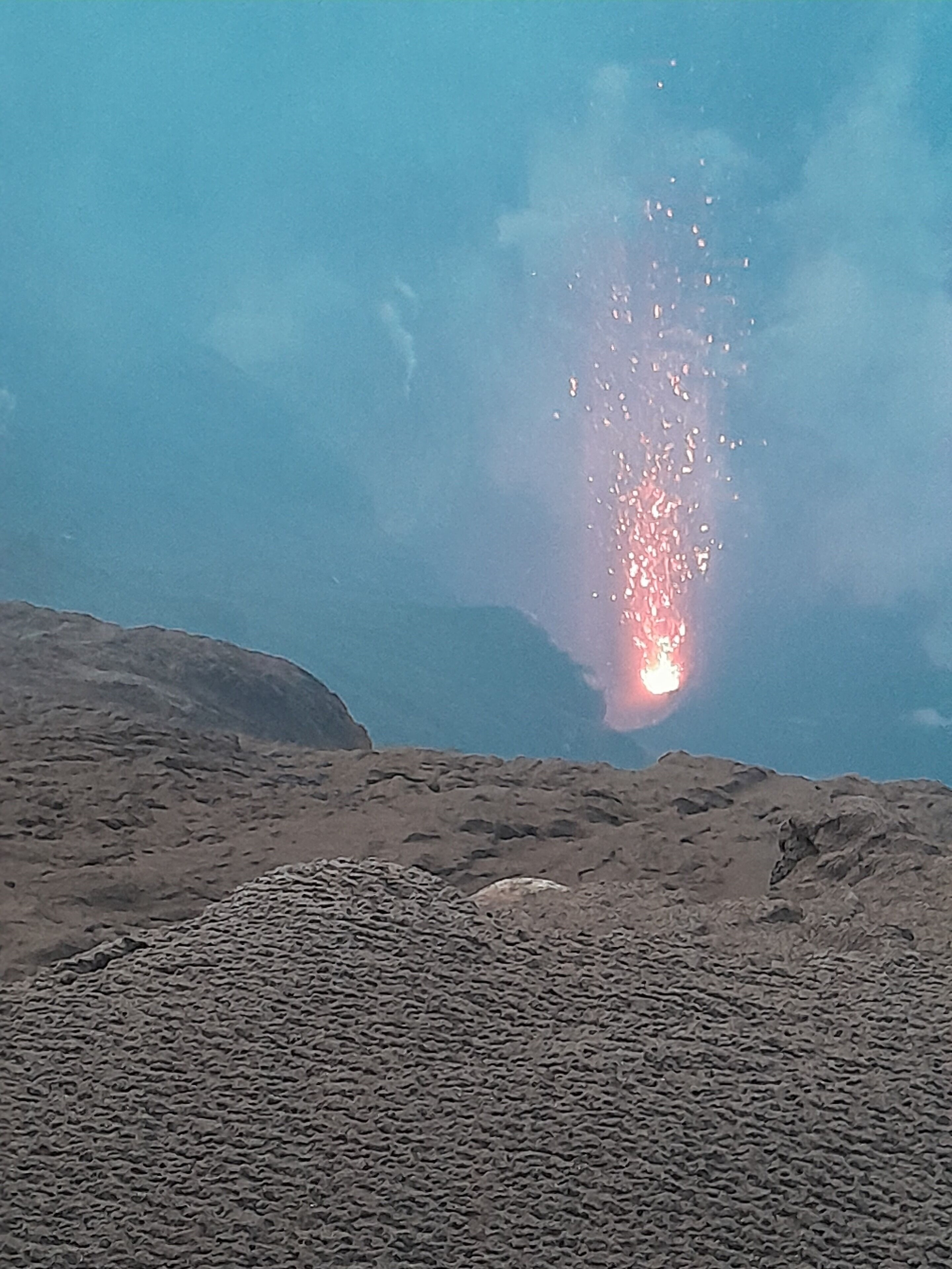 Glowing Mountain view tree house
