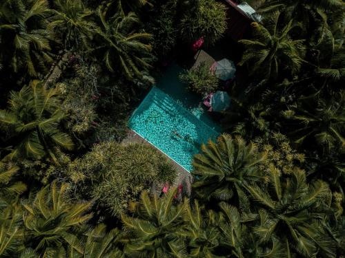 Abezza Resort And Adventure Spa