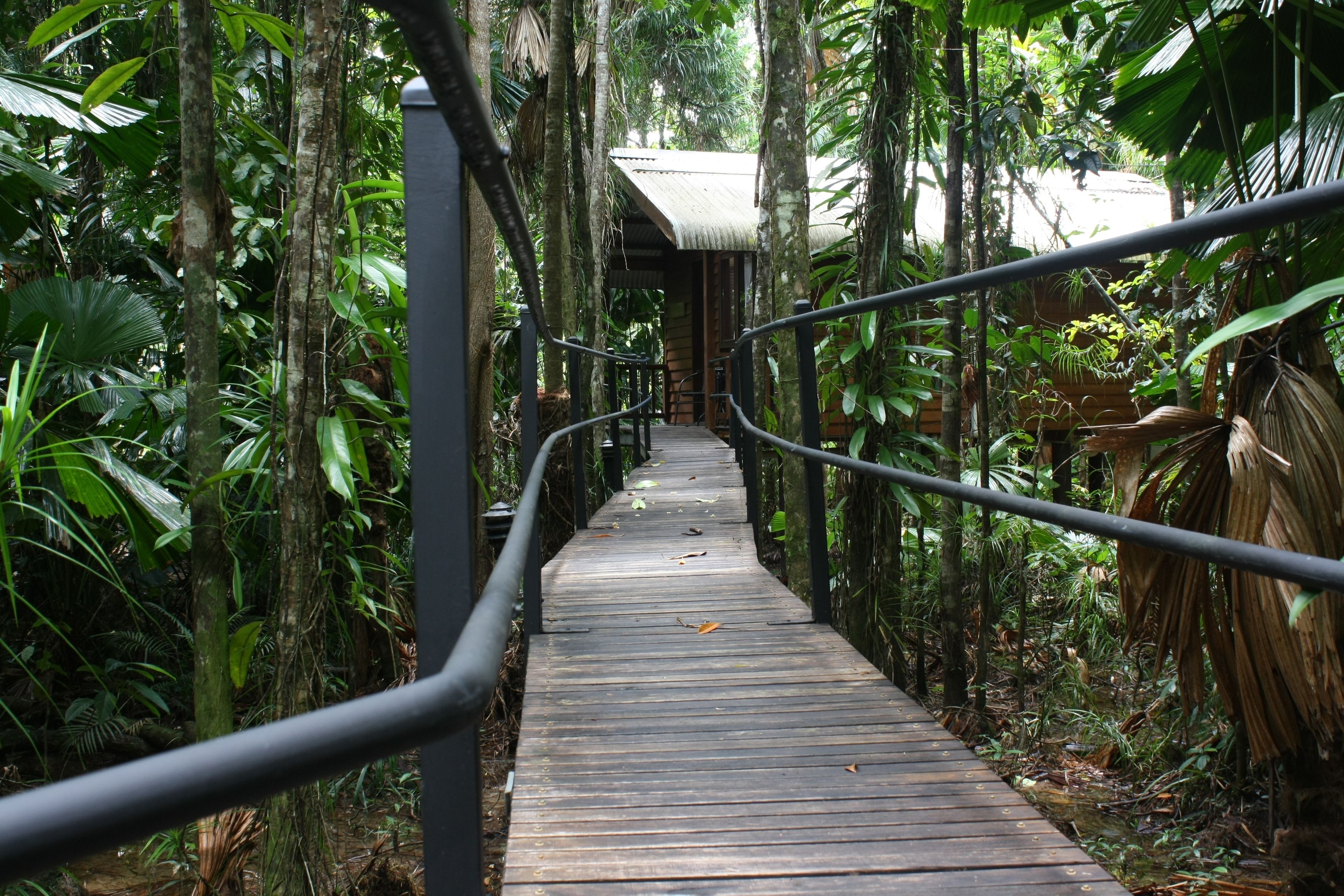Daintree Wilderness Lodge